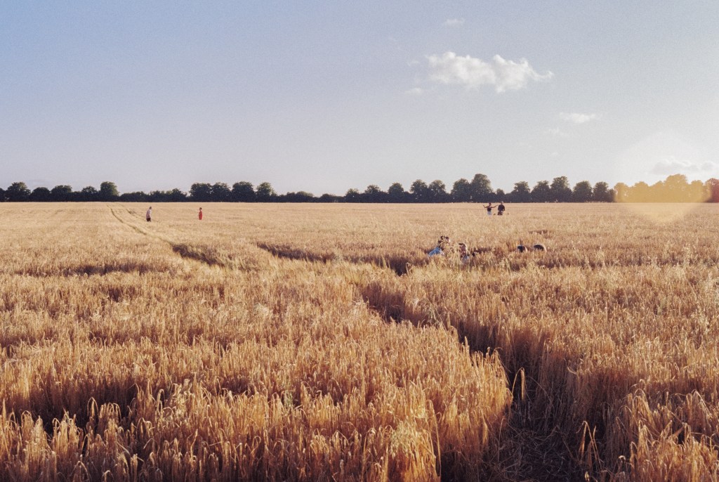 THE THREE WHEEL&nbsp;DRIVE